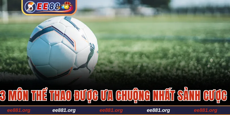 3 môn thể thao được ưa chuộng nhất sảnh cược