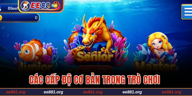 Các cấp độ cơ bản trong trò chơi